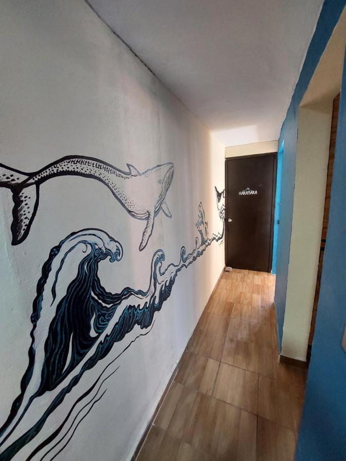 Venado 28 Hostel Cancun Exterior photo