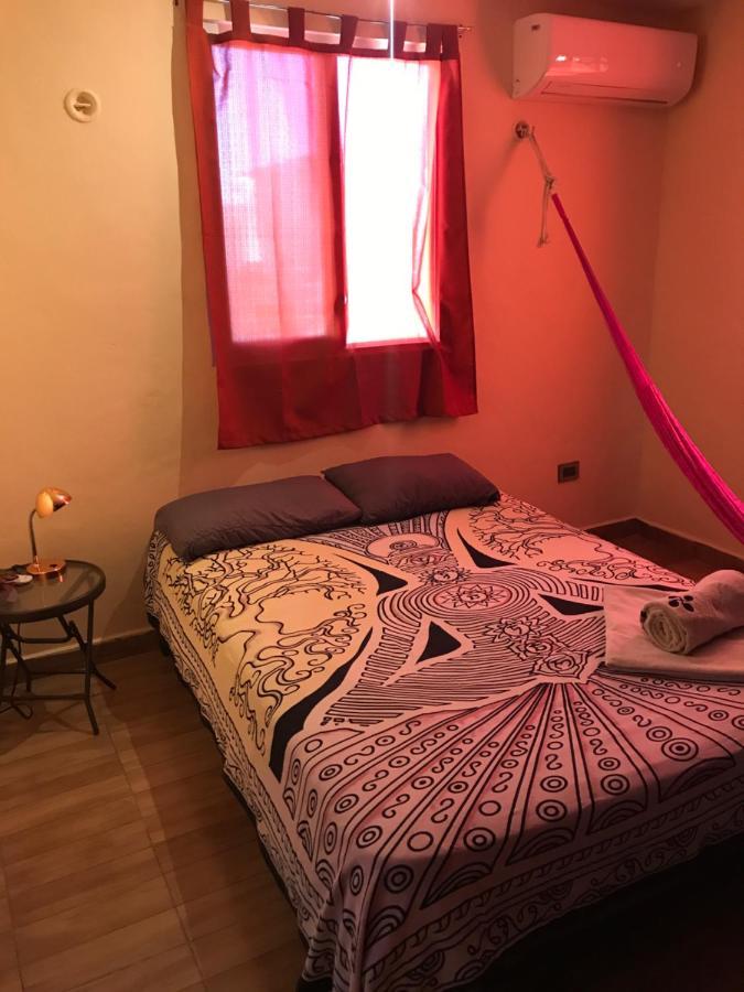 Venado 28 Hostel Cancun Exterior photo